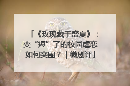 《玫瑰藏于盛夏》：变“短”了的校园虐恋如何突围？｜微剧评
