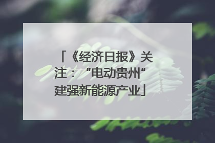 《经济日报》关注：“电动贵州”建强新能源产业