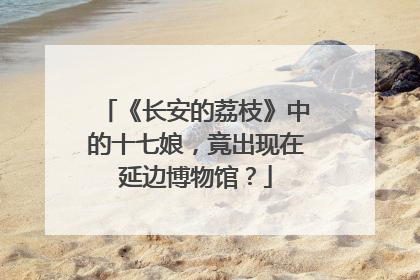 《长安的荔枝》中的十七娘，竟出现在延边博物馆？