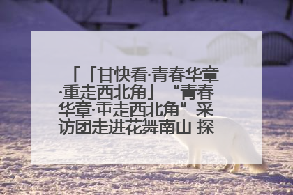 「甘快看·青春华章·重走西北角」“青春华章·重走西北角”采访团走进花舞南山 探寻天水乡村振兴之路