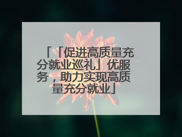 「促进高质量充分就业巡礼」优服务，助力实现高质量充分就业