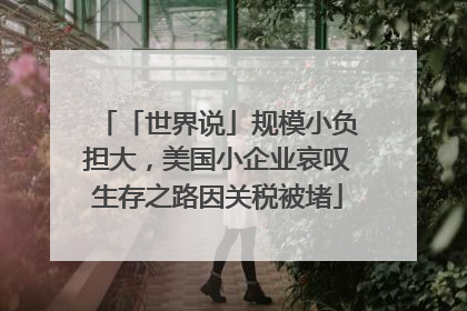 「世界说」规模小负担大，美国小企业哀叹生存之路因关税被堵