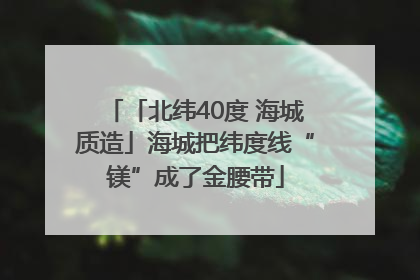 「北纬40度 海城质造」海城把纬度线“镁”成了金腰带