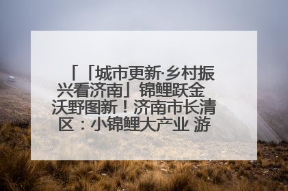 「城市更新·乡村振兴看济南」锦鲤跃金 沃野图新！济南市长清区：小锦鲤大产业 游出农旅新风景