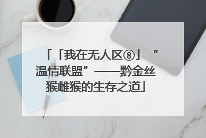 「我在无人区⑧」“温情联盟”——黔金丝猴雌猴的生存之道