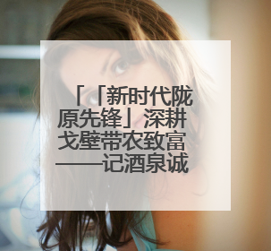 「新时代陇原先锋」深耕戈壁带农致富——记酒泉诚德农业农民专业合作社理事长范立德