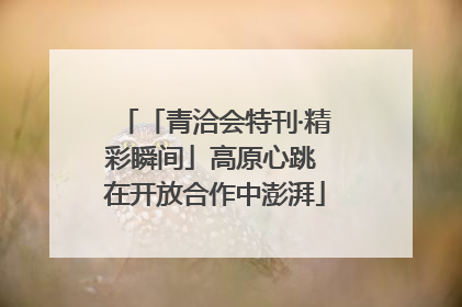 「青洽会特刊·精彩瞬间」高原心跳 在开放合作中澎湃