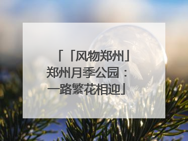 「风物郑州」郑州月季公园：一路繁花相迎