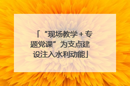 “现场教学＋专题党课”为支点建设注入水利动能