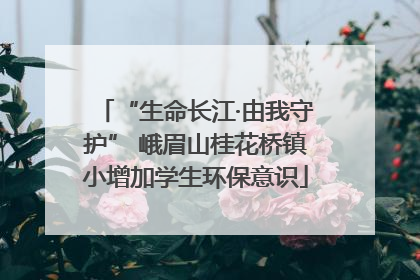 “生命长江·由我守护” 峨眉山桂花桥镇小增加学生环保意识