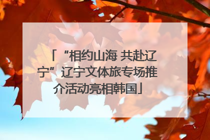 “相约山海 共赴辽宁”辽宁文体旅专场推介活动亮相韩国