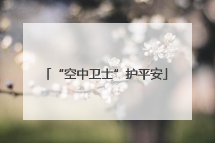 “空中卫士”护平安