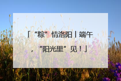 “粽”情洛阳丨端午，“阳光里”见！