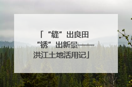 “缝”出良田 “锈”出新景——洪江土地活用记
