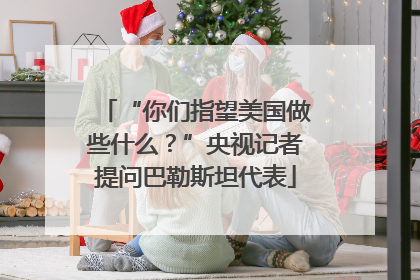 “你们指望美国做些什么？”央视记者提问巴勒斯坦代表