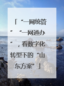 “一网统管”“一网通办”，看数字化转型下的“山东方案”