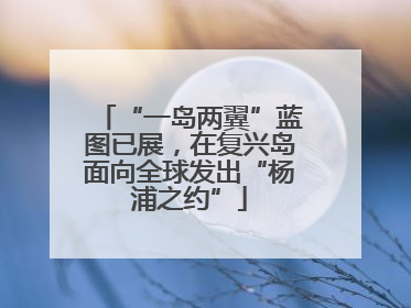 “一岛两翼”蓝图已展，在复兴岛面向全球发出“杨浦之约”