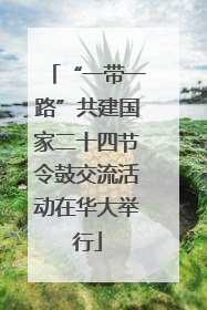 “一带一路”共建国家二十四节令鼓交流活动在华大举行