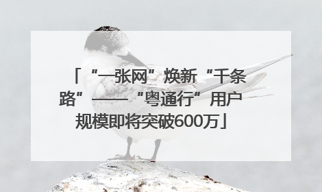 “一张网”焕新“千条路”——“粤通行”用户规模即将突破600万