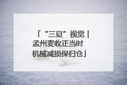 “三夏”视觉｜孟州麦收正当时 机械减损保归仓