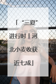 “三夏”进行时丨河北小麦收获近七成
