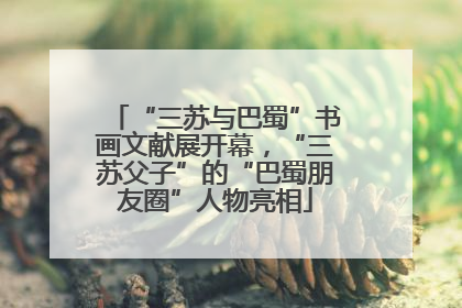 “三苏与巴蜀”书画文献展开幕，“三苏父子”的“巴蜀朋友圈”人物亮相
