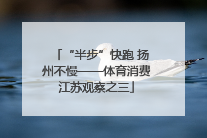 “半步”快跑 扬州不慢——体育消费江苏观察之三