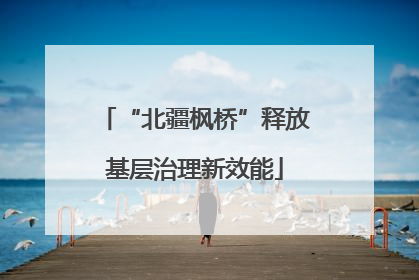 “北疆枫桥”释放基层治理新效能