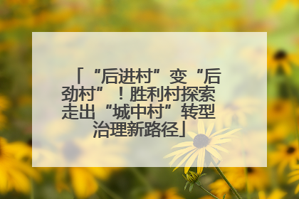 “后进村”变“后劲村”！胜利村探索走出“城中村”转型治理新路径