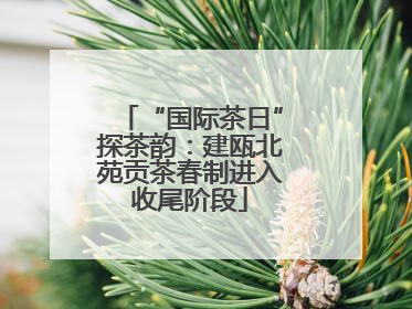 “国际茶日”探茶韵：建瓯北苑贡茶春制进入收尾阶段