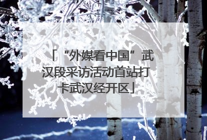 “外媒看中国”武汉段采访活动首站打卡武汉经开区