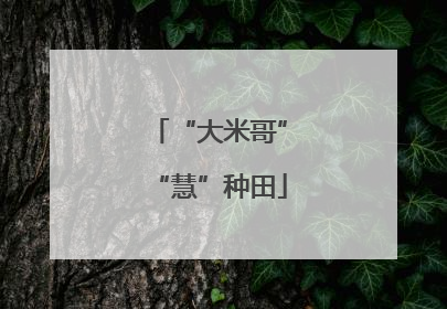 “大米哥”“慧”种田