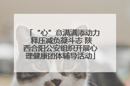 “心”意满满添动力 释压减负凝斗志 陕西合阳公安组织开展心理健康团体辅导活动