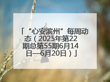“心安滨州”每周动态（2025年第22期总第55期6月14日—6月20日）