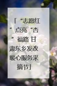 “志愿红”点亮“杏”福路 甘肃东乡发改暖心服务采摘节