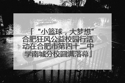 “小篮球，大梦想”合肥狂风公益校园行活动在合肥市第四十二中学南城分校圆满落幕