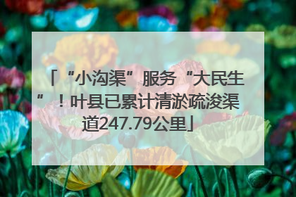 “小沟渠”服务“大民生”！叶县已累计清淤疏浚渠道247.79公里