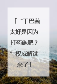 “干巴菌太好是因为打药施肥？”权威解读来了