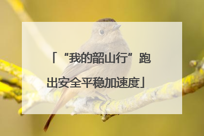 “我的韶山行”跑出安全平稳加速度
