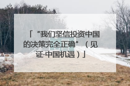 “我们坚信投资中国的决策完全正确”（见证·中国机遇）
