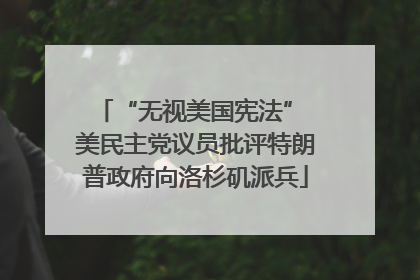 “无视美国宪法” 美民主党议员批评特朗普政府向洛杉矶派兵