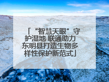 “智慧天眼”守护湿地 联通助力东明县打造生物多样性保护新范式