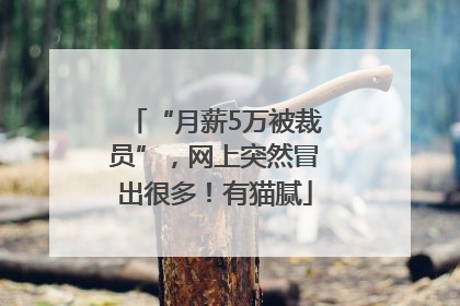 “月薪5万被裁员”，网上突然冒出很多！有猫腻