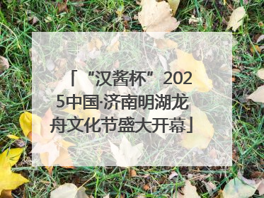 “汉酱杯”2025中国·济南明湖龙舟文化节盛大开幕