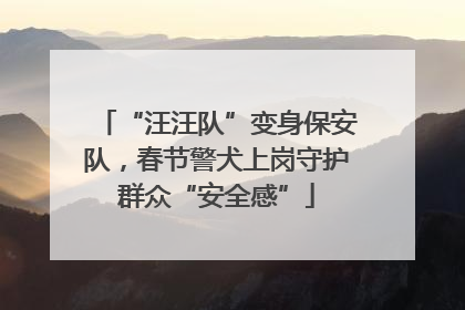 “汪汪队”变身保安队，春节警犬上岗守护群众“安全感”