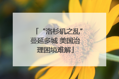 “洛杉矶之乱”蔓延多城 美国治理困境难解