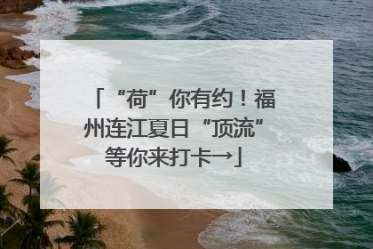 “荷”你有约！福州连江夏日“顶流”等你来打卡→