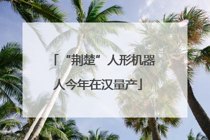 “荆楚”人形机器人今年在汉量产