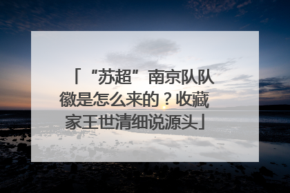 “苏超”南京队队徽是怎么来的？收藏家王世清细说源头