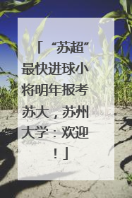 “苏超”最快进球小将明年报考苏大，苏州大学：欢迎！